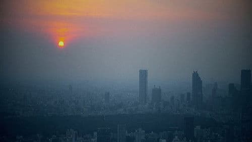 The Way of the Warrior Bild 2