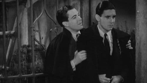 In Gay Madrid Bild 2