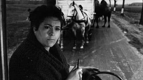 Der rote Reiter Bild 2