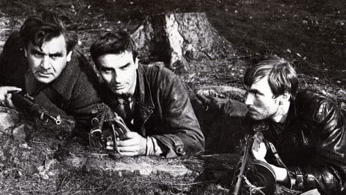 Legenda o živých mrtvých Bild 1