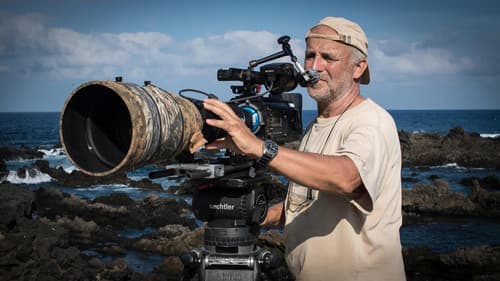 Die Kanarischen Inseln Bild 4