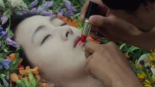 바보 선언 Bild 1