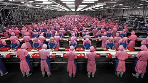 Manufactured Landscapes Bild 1