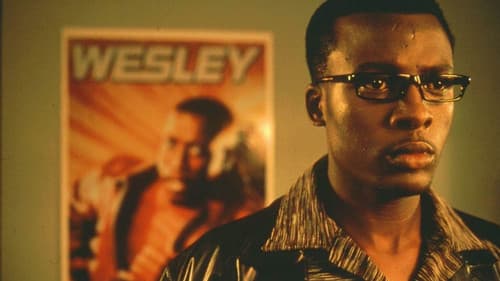 Hijack Stories Bild 3