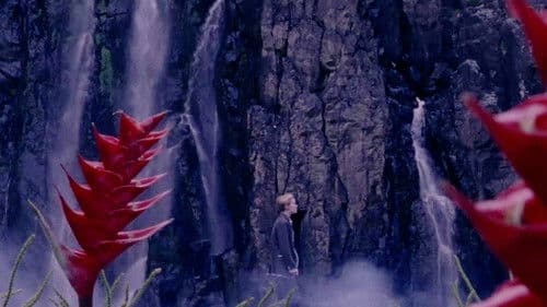 The Wild Boys Bild 2