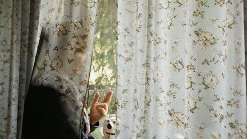 Vjetar u leđa Bild 1