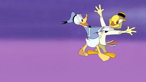 Drei Caballeros im Sambafieber Bild 8