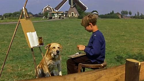 Patrasche, mein kleiner Freund Bild 4