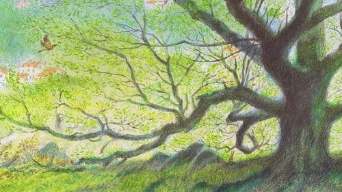 Der Mann, der Bäume pflanzte Bild 2