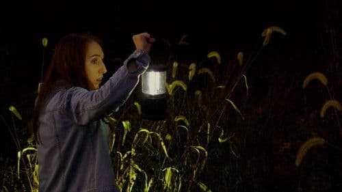 A Stranger On Earth Bild 2