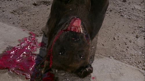 El gran perro muerto Bild 1