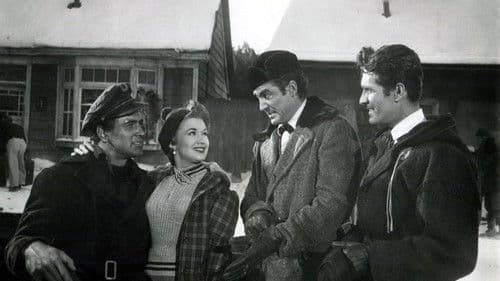 Allen Gefahren zum Trotz Bild 1