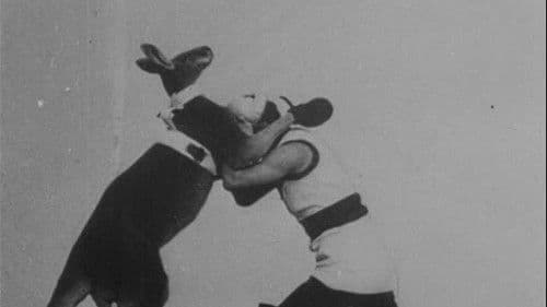 Das boxende Känguruh Bild 1