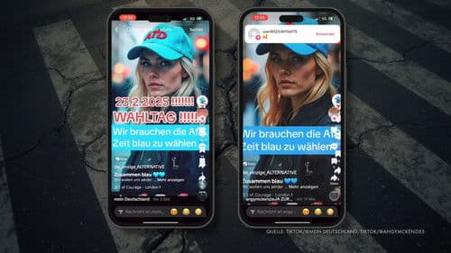 Die TikTok-Armee der AfD Bild 7