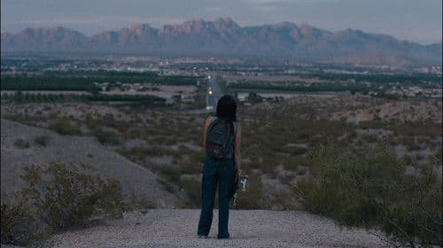 In the Summers Bild 6