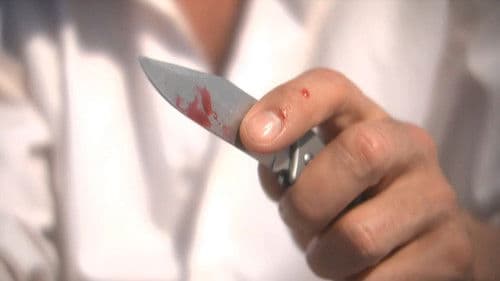 Survivor Type Bild 3