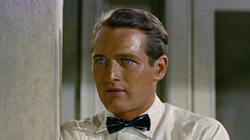 Der lange heiße Sommer Bild 6