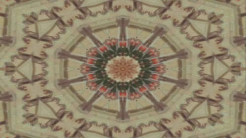 Fleshworm Dreams Bild 1