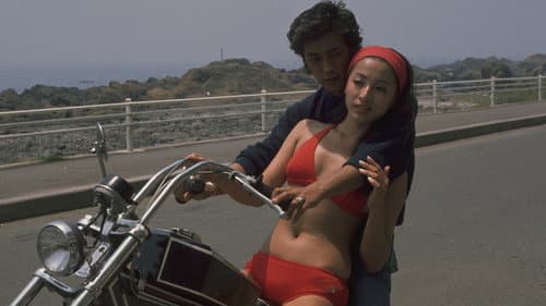 暴走の季節 Bild 1