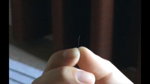 Hoy me siento triste, pero pronto la veré. Bild 8