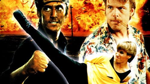 Karate Tiger 2 Bild 3