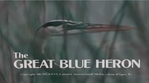 The Great Blue Heron Bild 2
