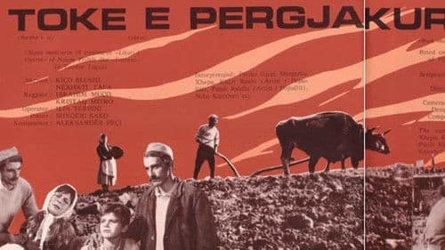 Tokë e përgjakur Bild 2