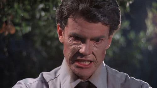 Don't Go Near the Park Bild 1