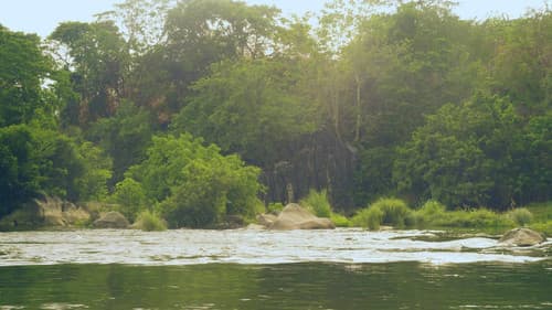 Alamat ng Isdang Kulay Bahaghari Bild 1