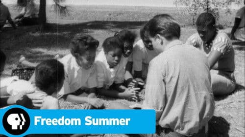 Freedom Summer Bild 1