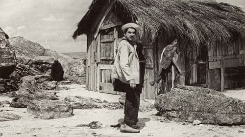 Zé do Periquito Bild 1