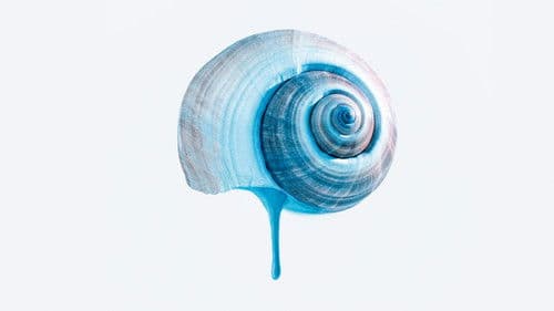 Das tiefste Blau Bild 3