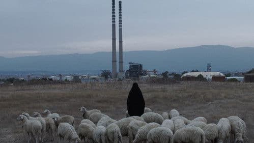 Anime Galleggianti Bild 1