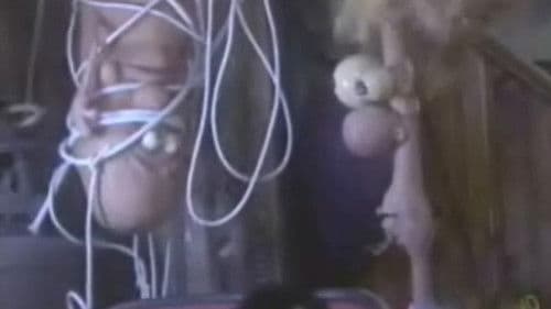 Internet Slutts Bild 6