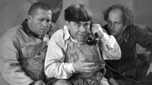 Termites of 1938 Bild 2