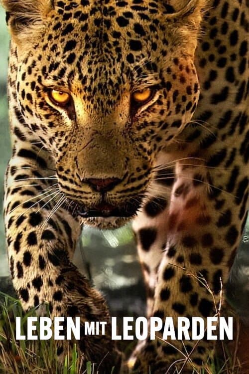 Leben mit Leoparden