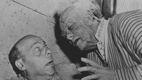 Pharaoh's Curse Bild 1