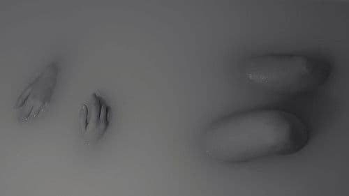 De quel côté est la Seine ? Bild 4