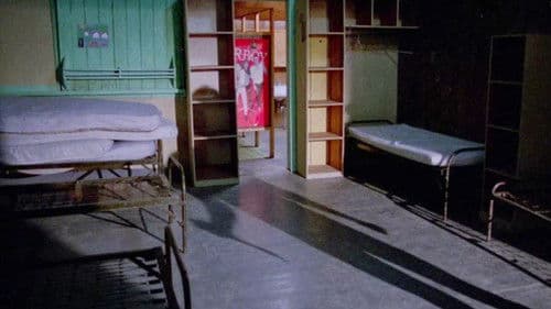 Blutiger Sommer - Das Camp des Grauens Bild 6