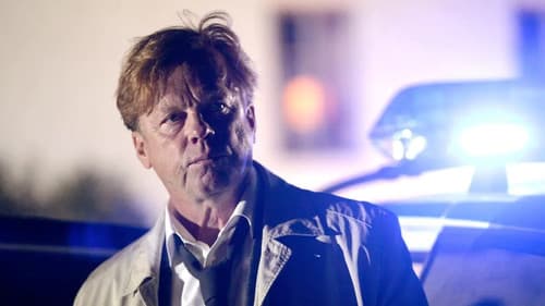 Mankells Wallander 24 - Das Erbe Bild 1