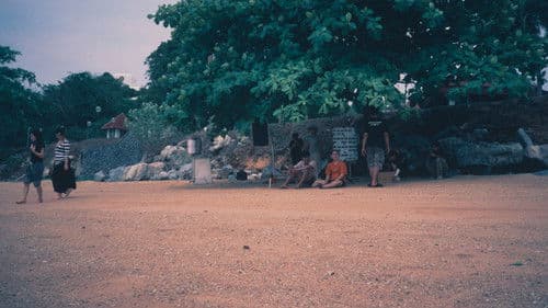 Bottom Lotus In December Bild 4