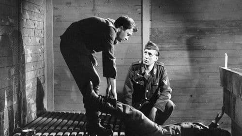 Betrogen bis zum jüngsten Tag Bild 1