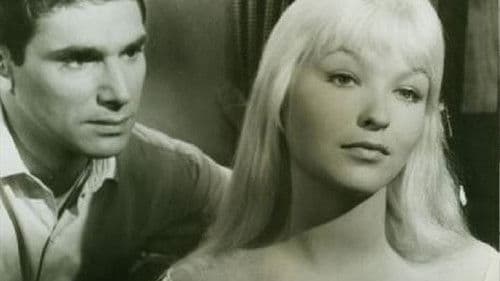 Nachts fällt der Schleier Bild 2