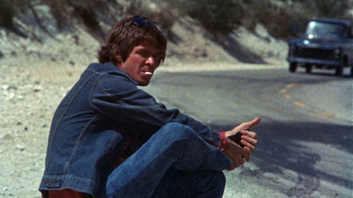 Des Teufels tolle Hunde Bild 1