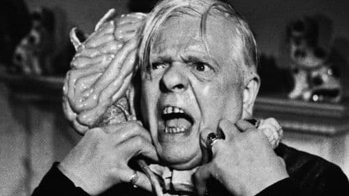 Ungeheuer ohne Gesicht Bild 1