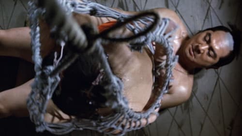 Hanzo the Razor – Sword of Justice Bild 5