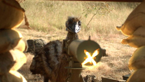 The Emu War Bild 4