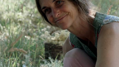 Trois oiseaux bleus Bild 7