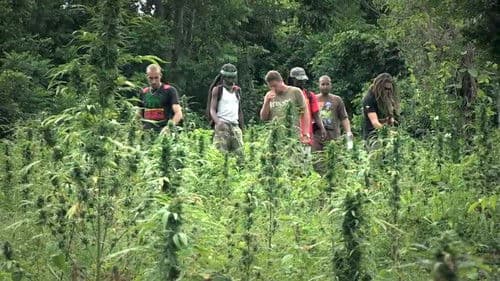 Strain Hunters Bild 1