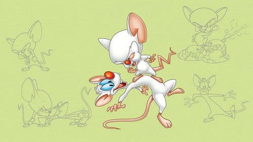 Pinky & der Brain Bild 2
